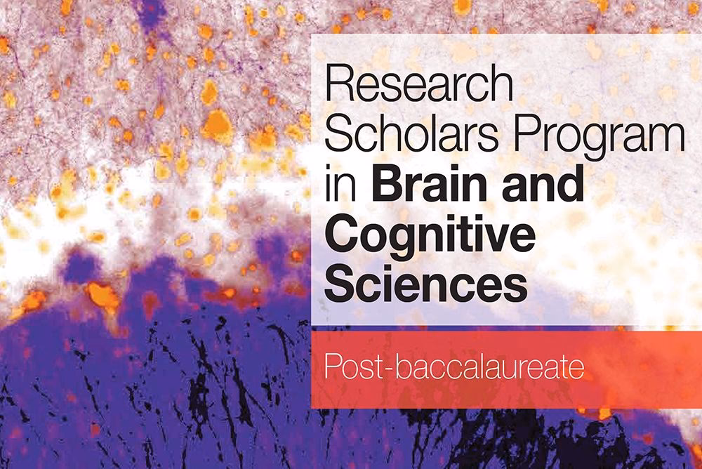 What is post-baccalaureate equivalent to?