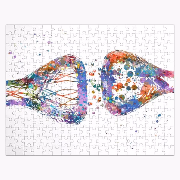 Do puzzles help with neuroplasticity?