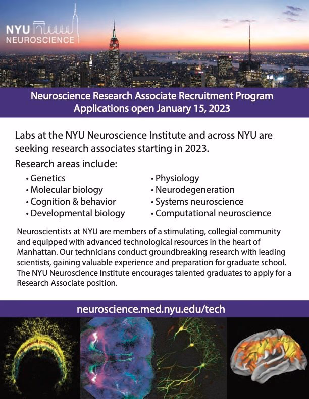 What is recruitment in neuroscience?