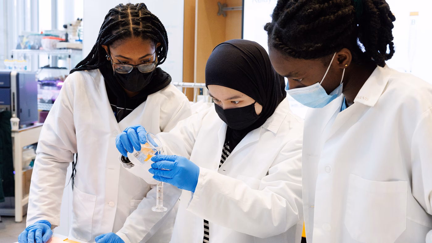 What type of research can a high school student do?