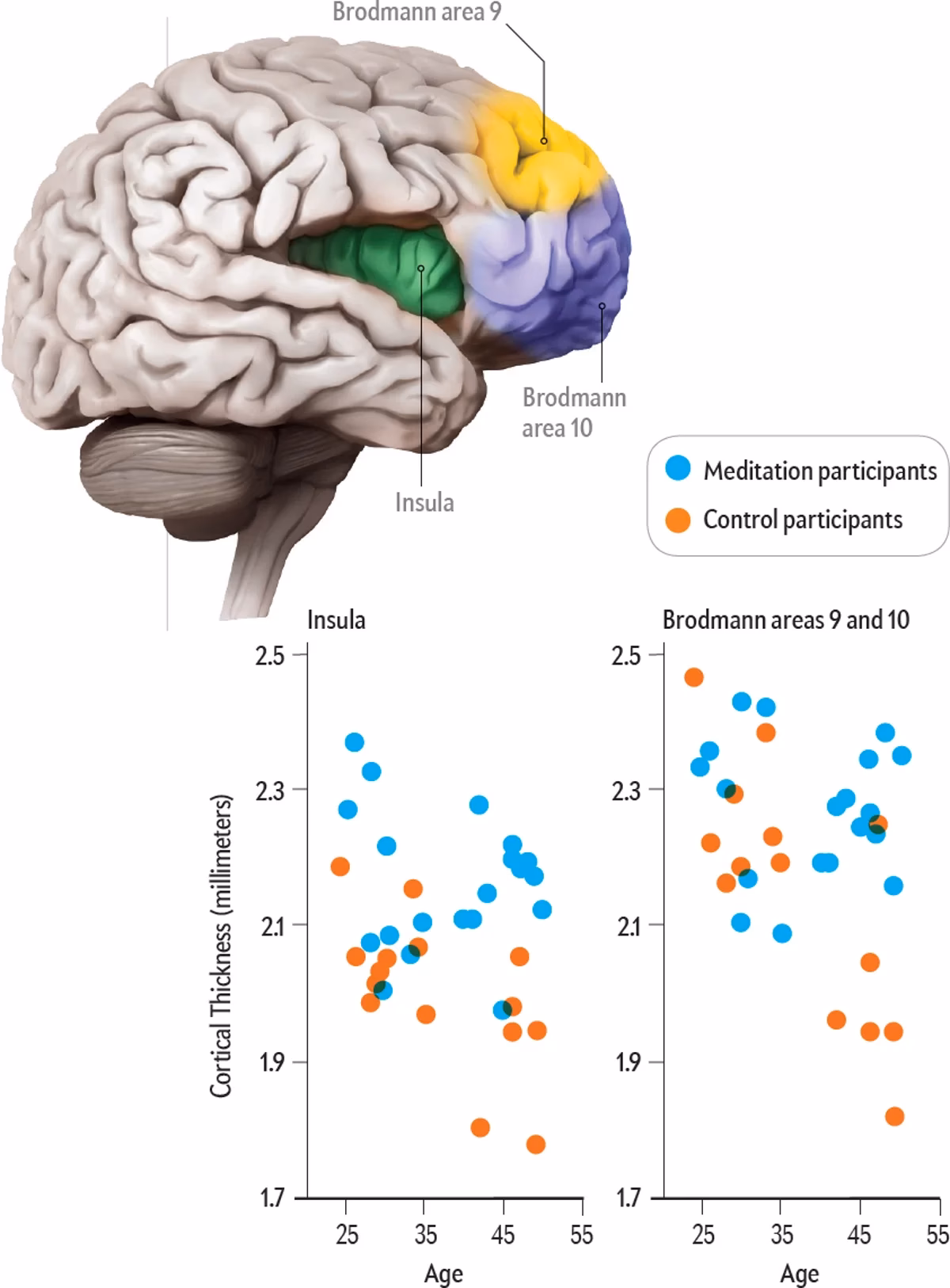 What is the secret to meditation?
