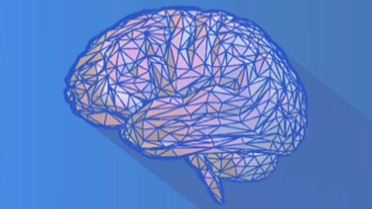 What increases neuroplasticity the most?