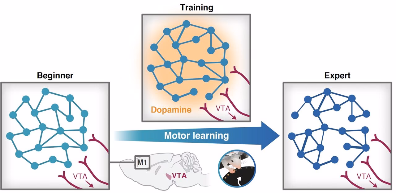How prestigious is Technion?