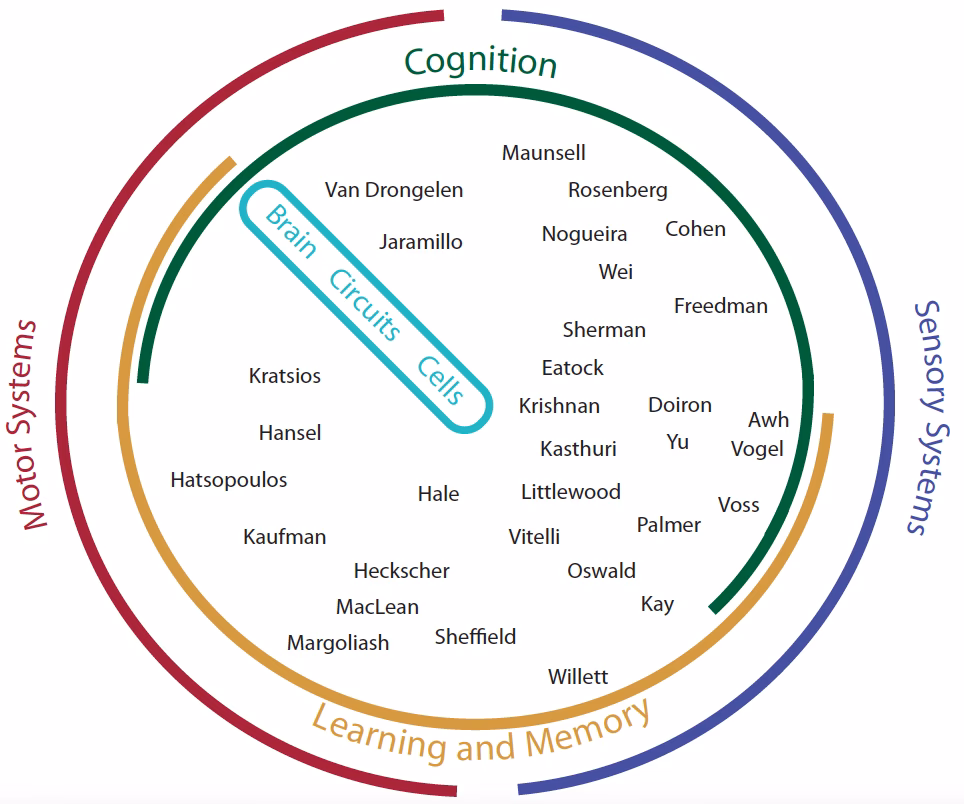 What is the IBRO neuroscience training grant?
