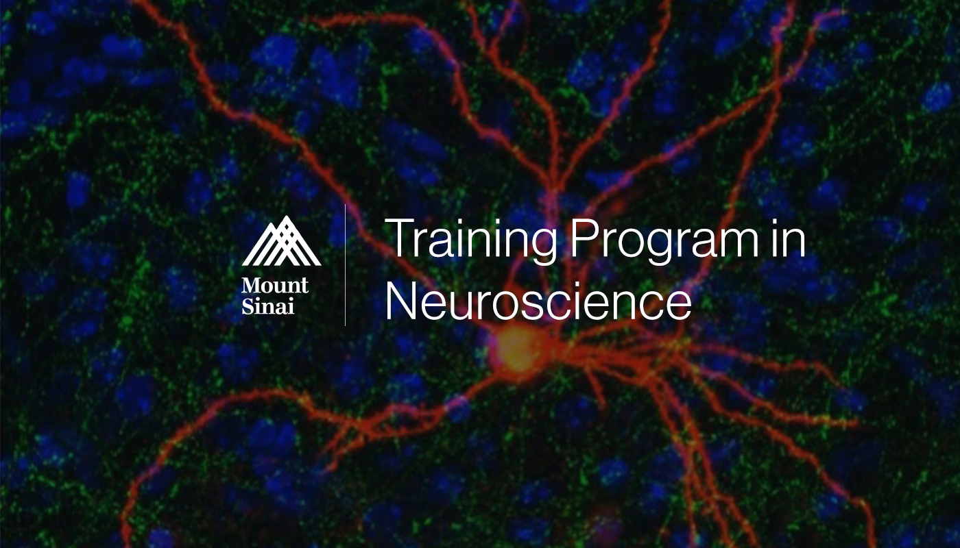 What is the IBRO neuroscience training grant?