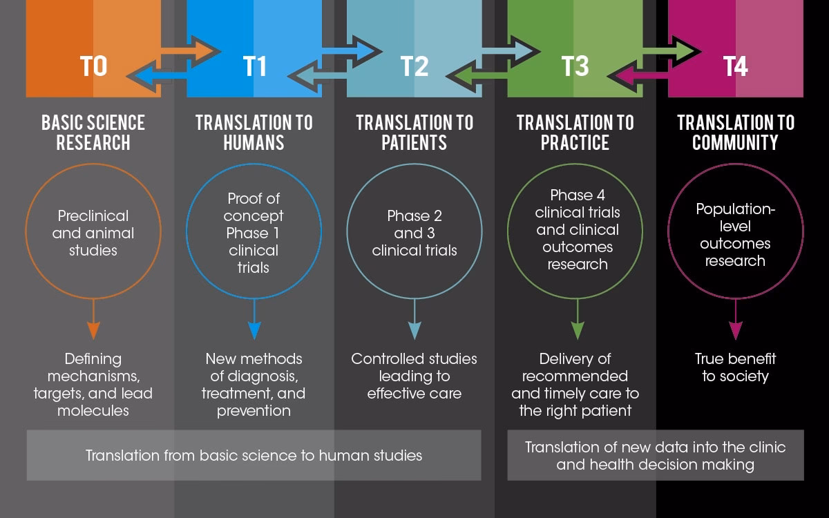 What is molecular and translational neuroscience?