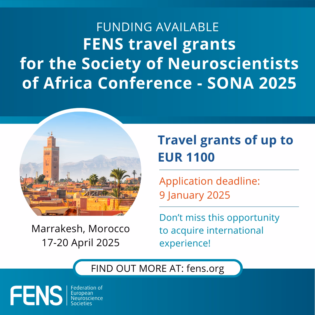 What is the travel grant for the brain conferences?