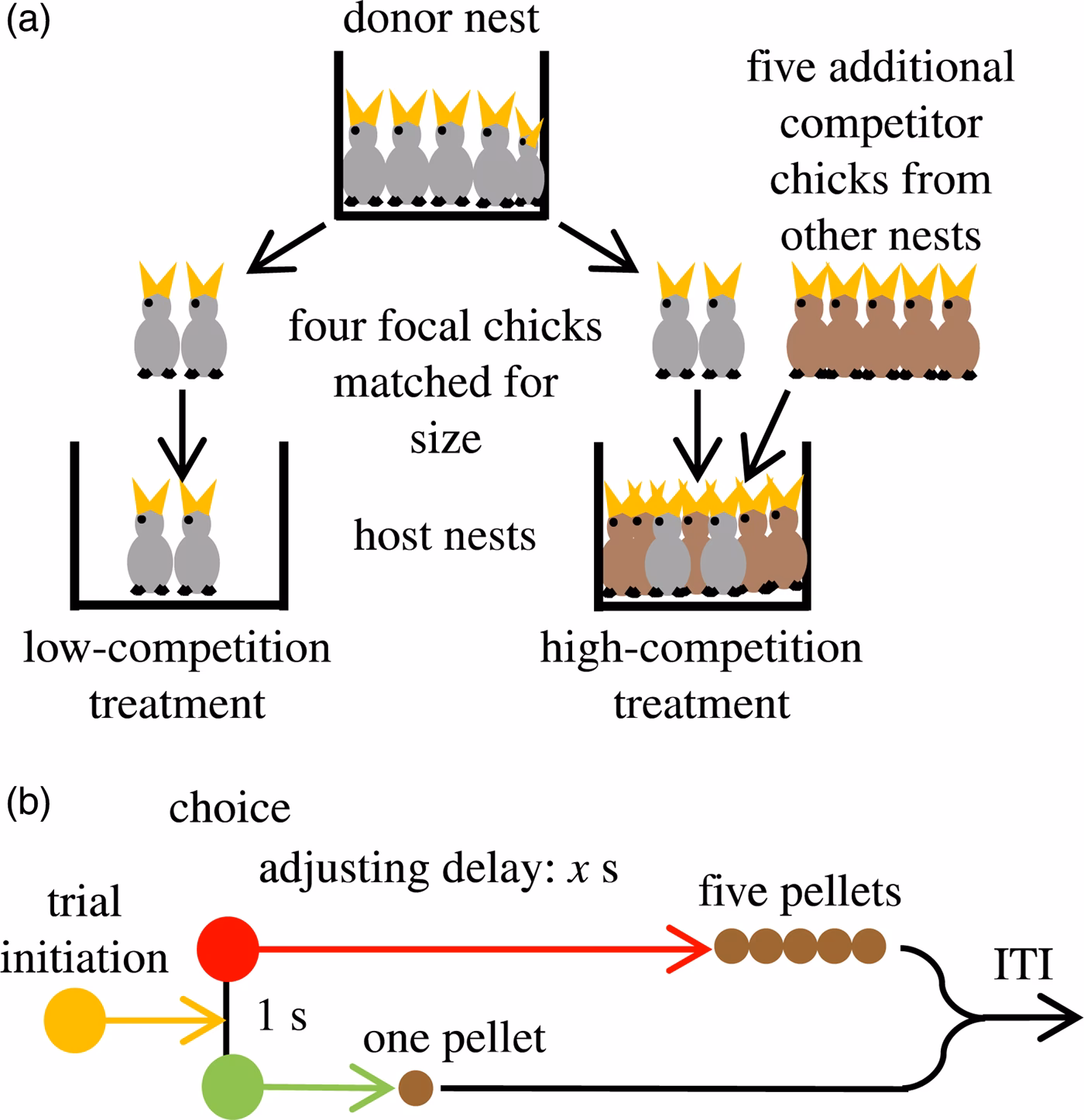 What are the differences between the Scientific Revolution and the Industrial Revolution?