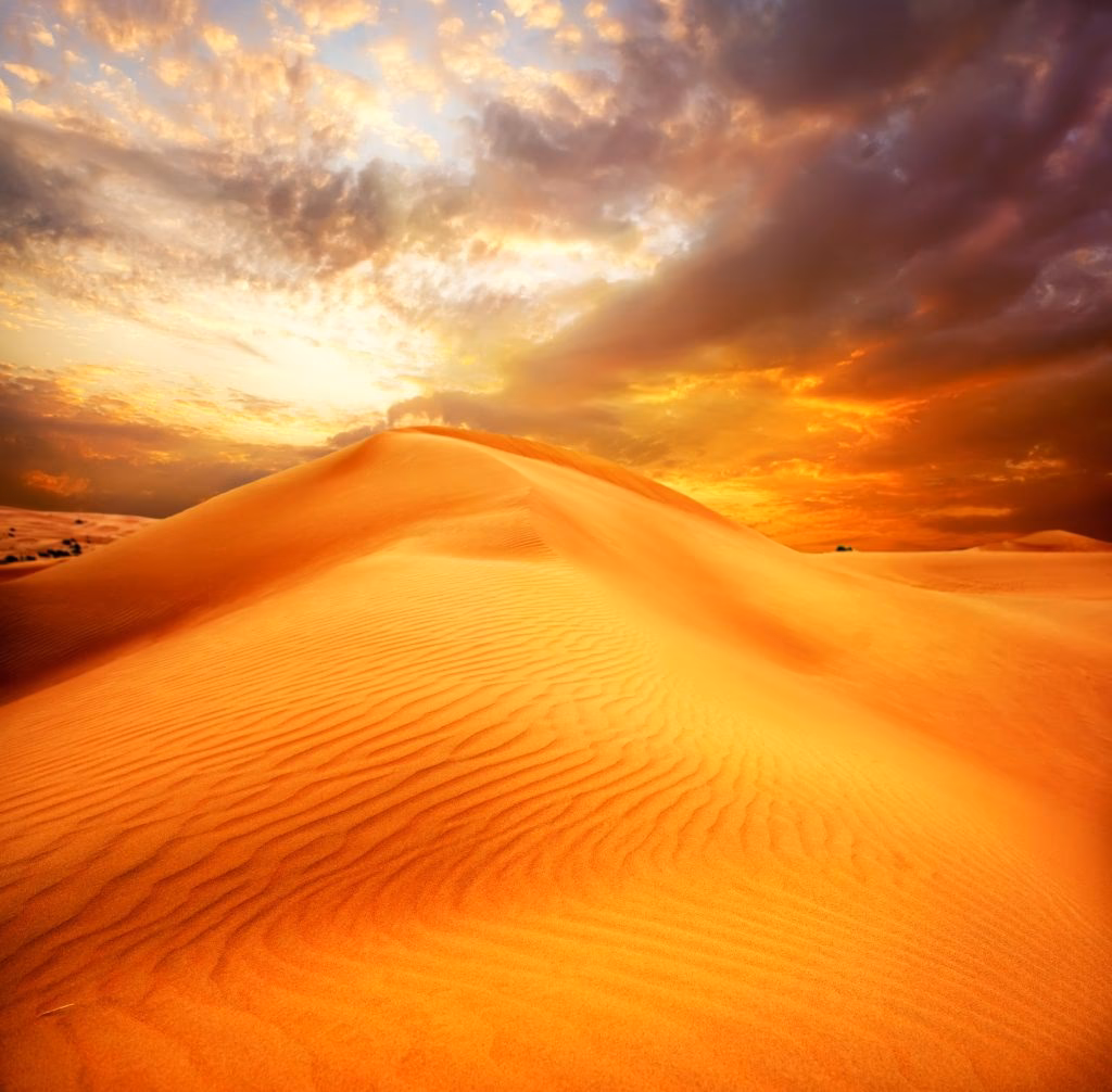 What makes Sahara desert so special?