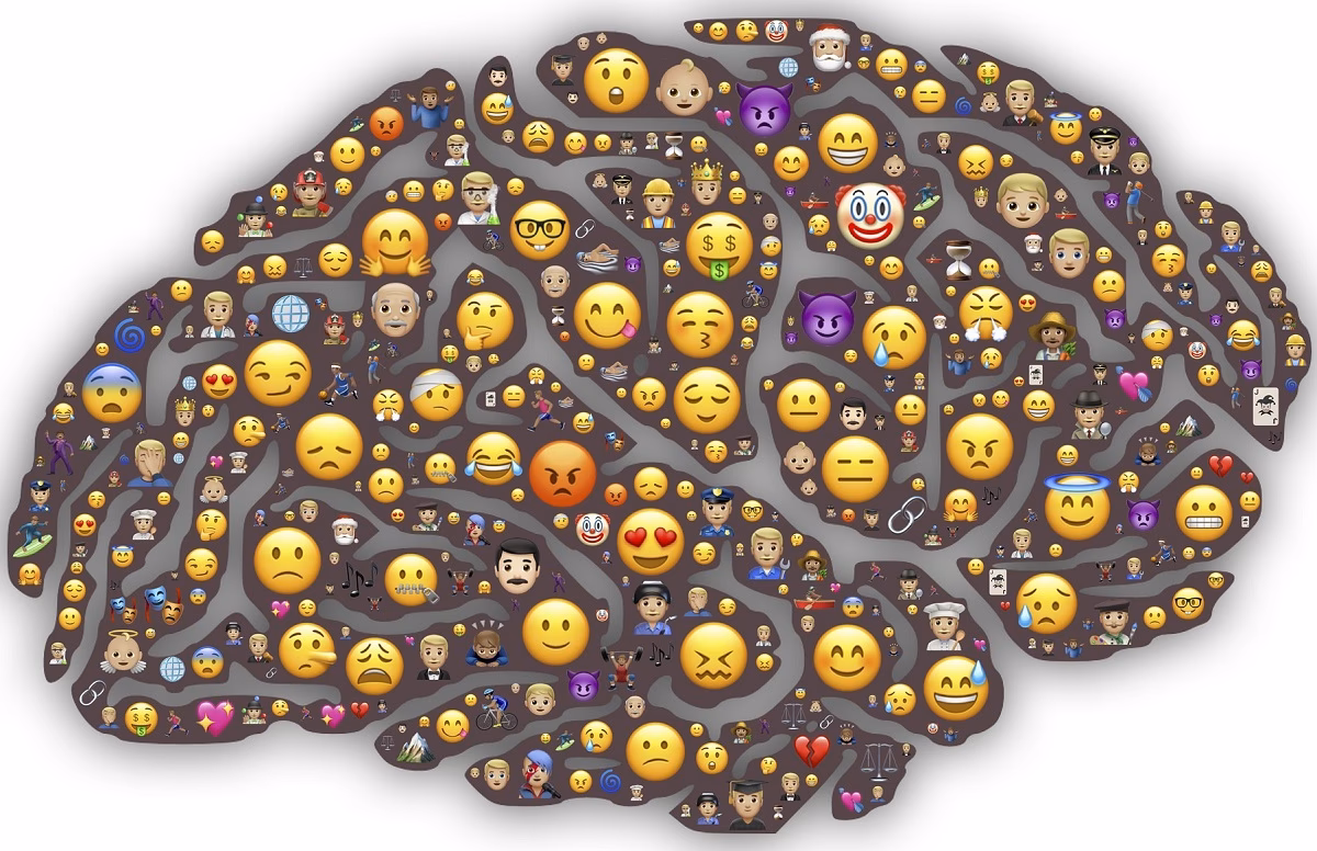 Quelles sont les 7 émotions des neurosciences affectives ?