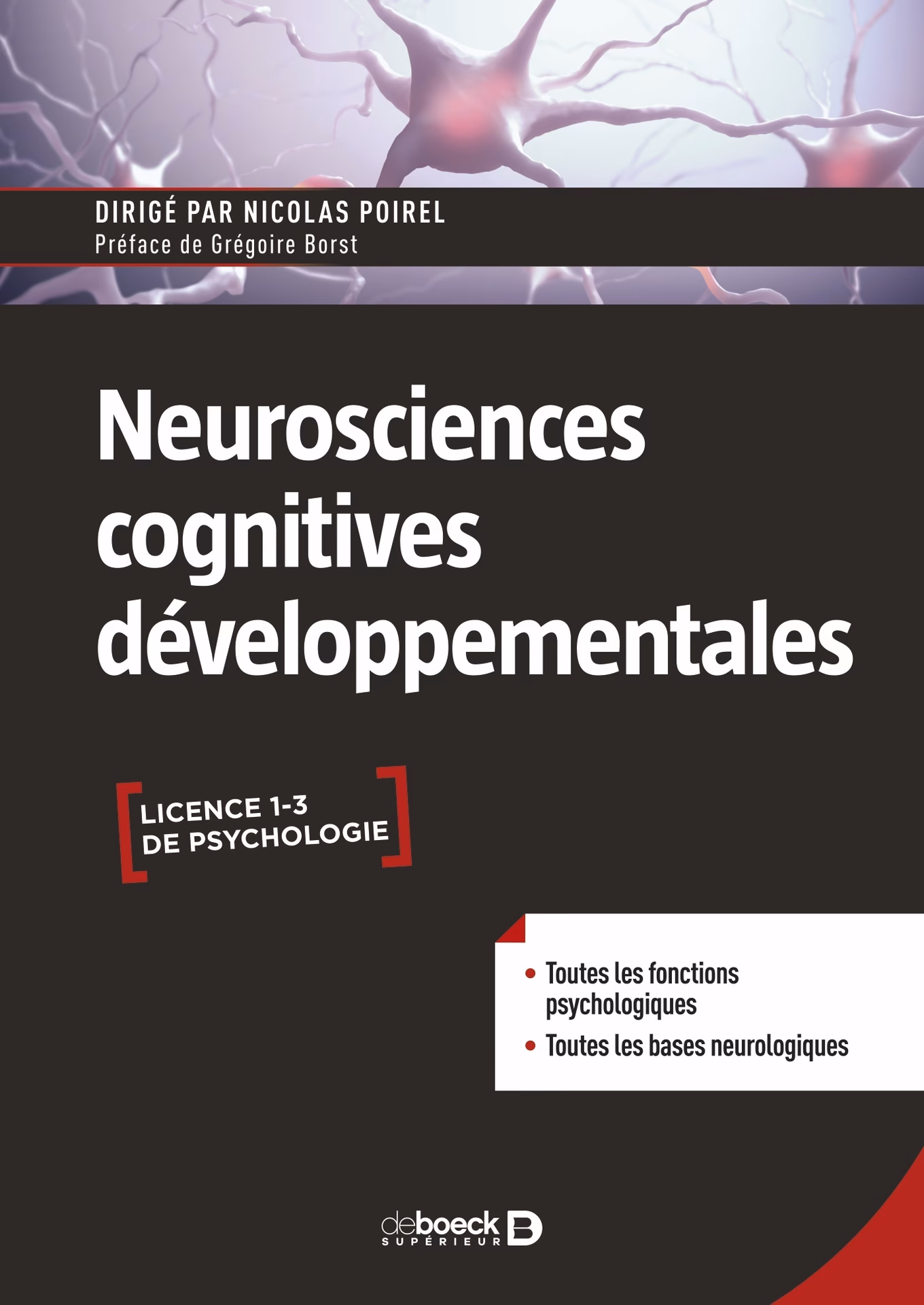 Quelle est l’intersection entre les neurosciences et la psychologie ?