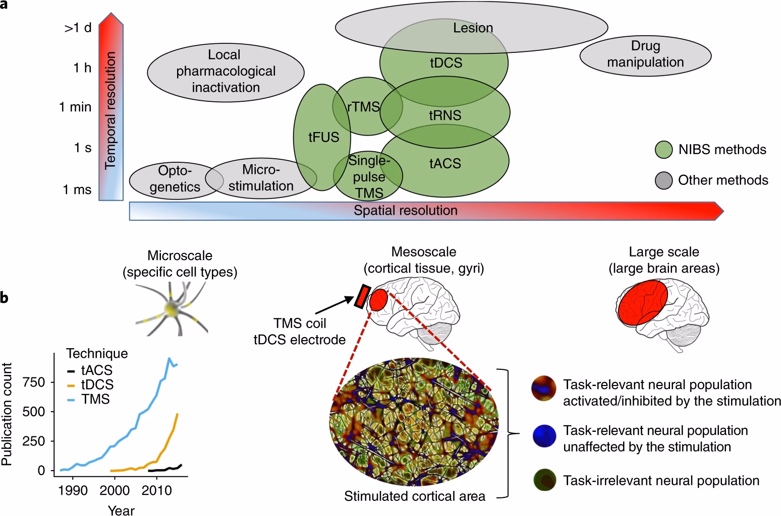 What is the nibs technique?