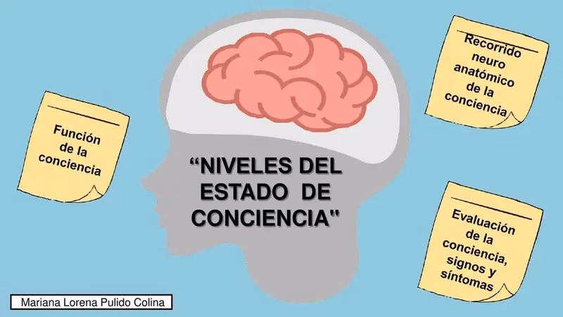 ¿Cuáles son los 5 niveles de conciencia?
