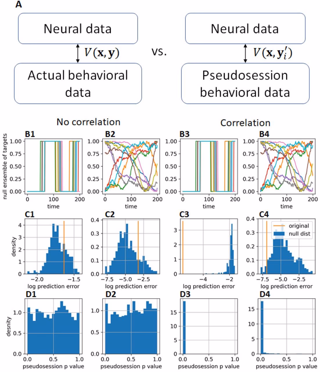 What is a nonsense correlation in neuroscience?