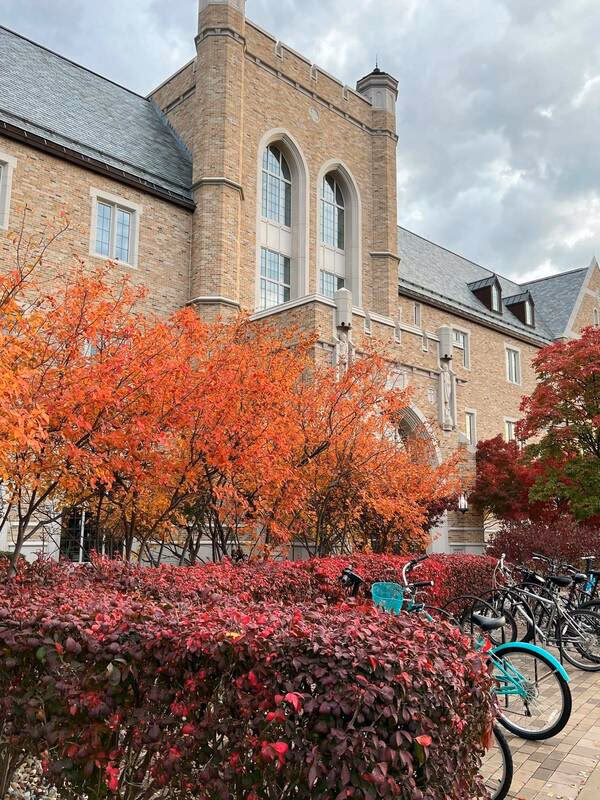 What are the top 3 majors at Notre Dame?