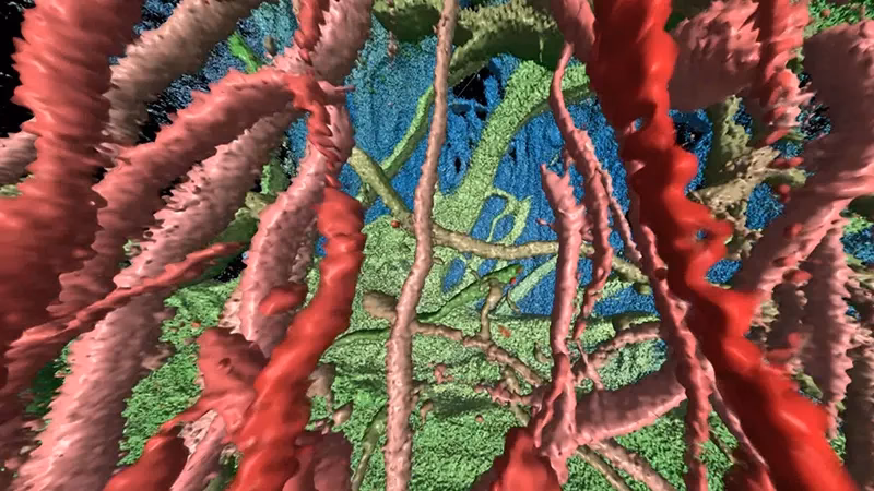 What is Novartis most famous drug?