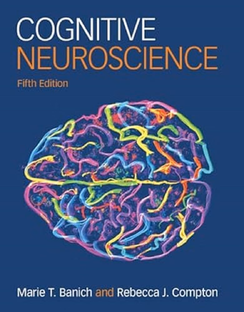 What is NSF in neuroscience?