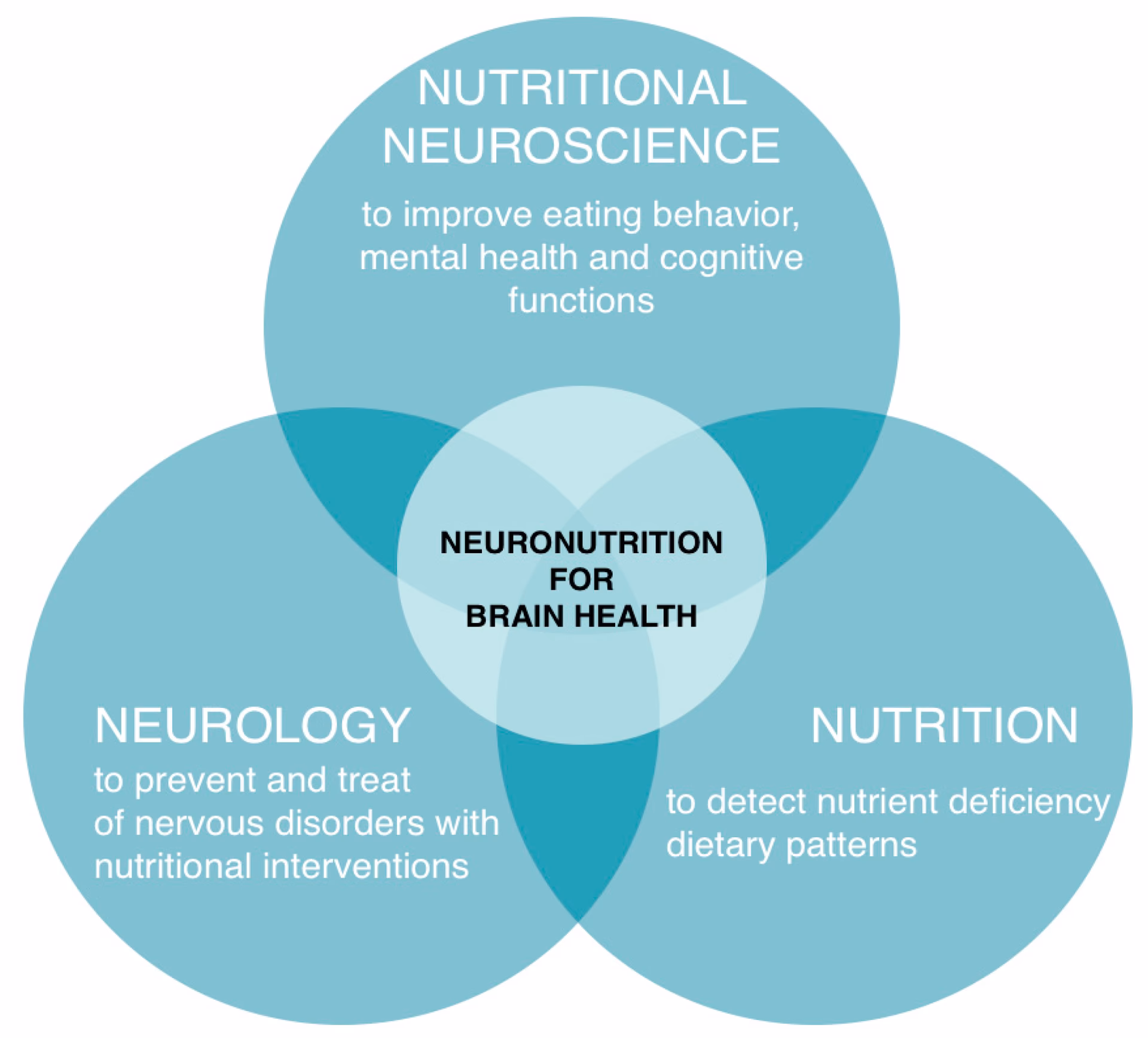 How does nutrition play a role in cognitive development?