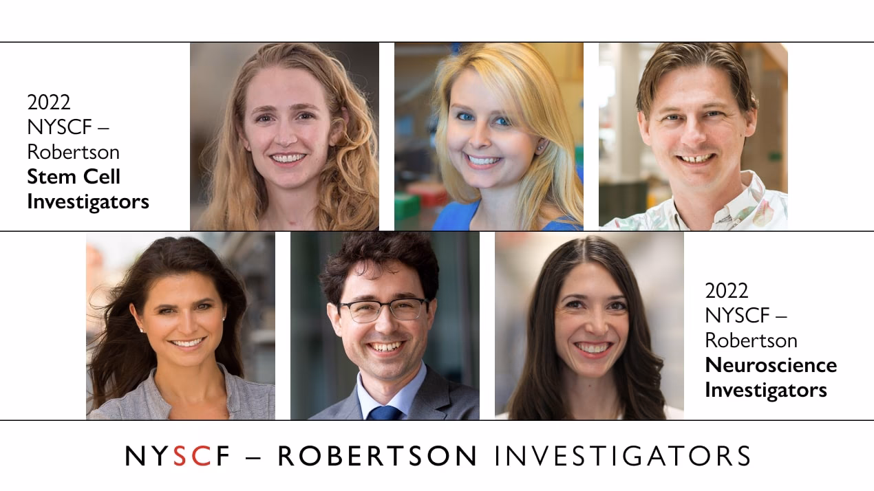 What are stem cells in neuroscience?