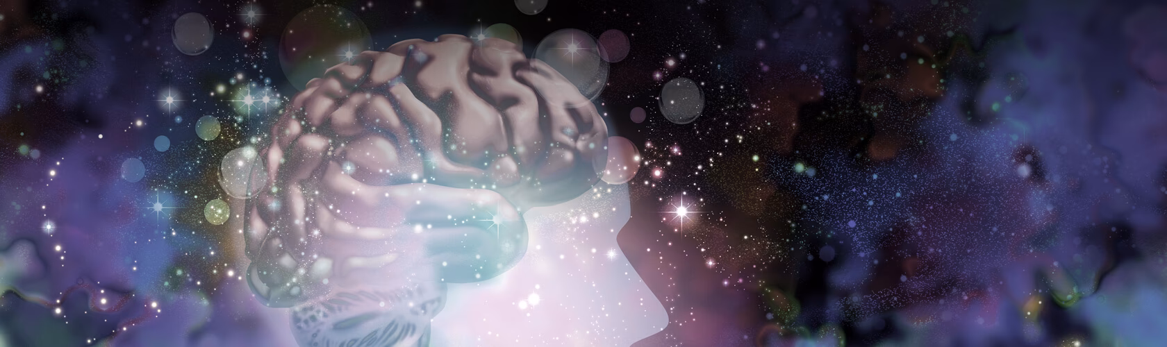 Does NYU offer cognitive science?