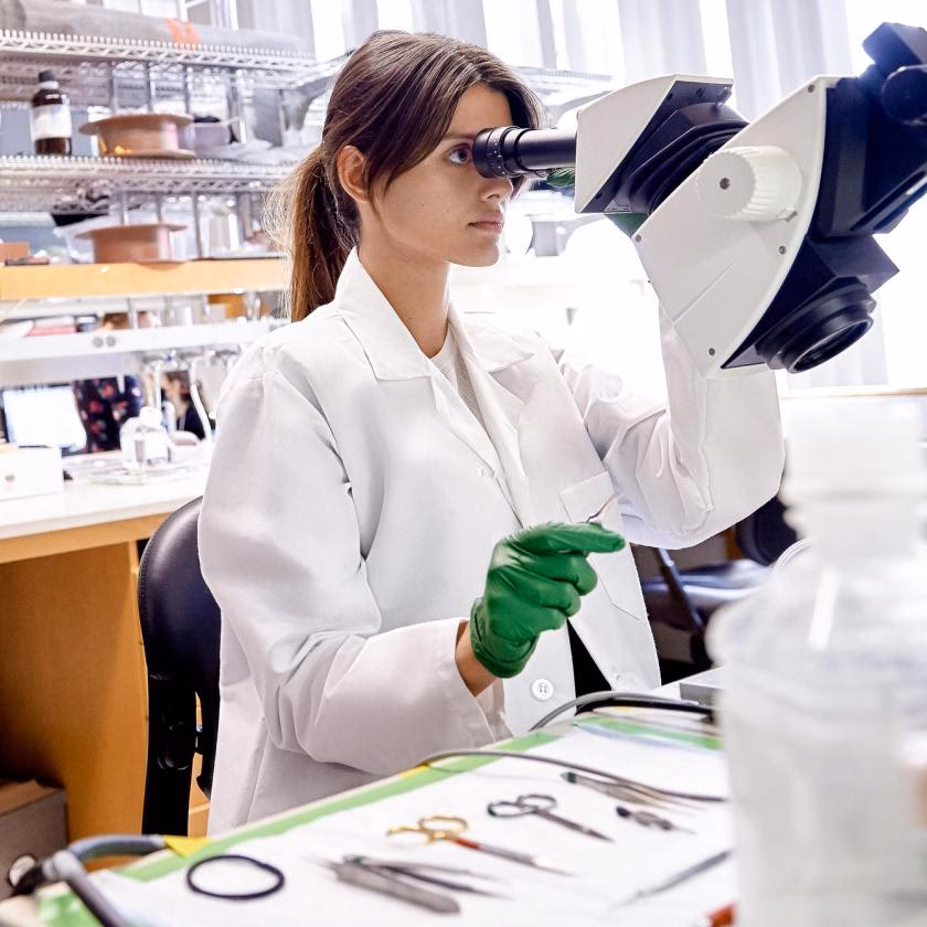 How competitive is NYU Surp?