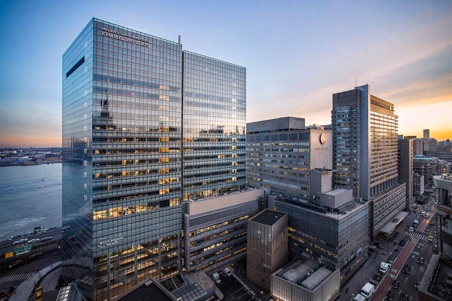 Does NYU have a neuroscience program?