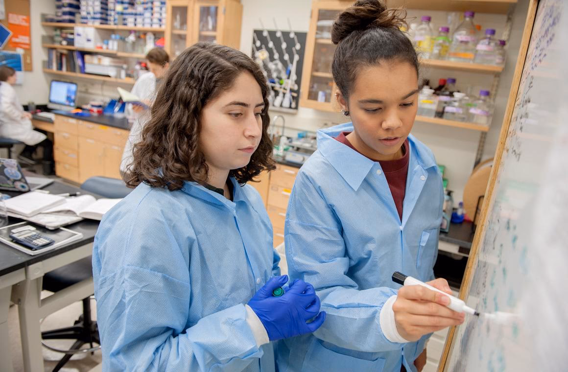 What is Oberlin neuroscience ranked?