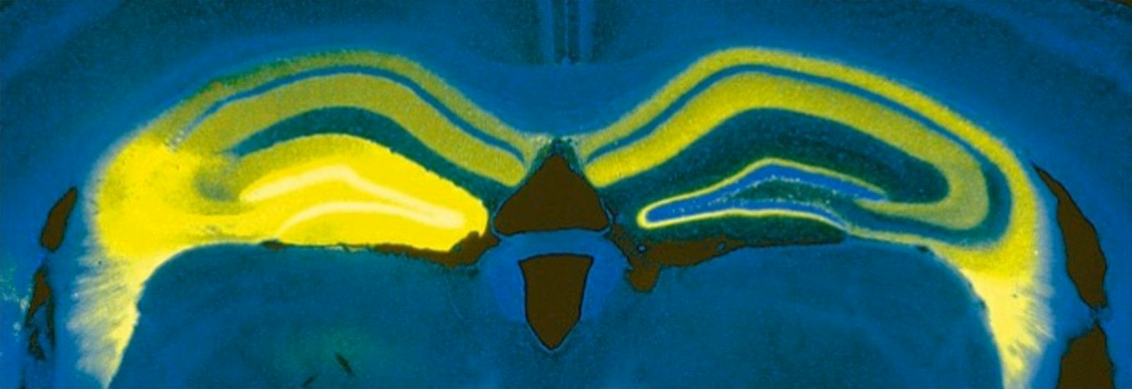 How competitive are Oxford Masters programs?