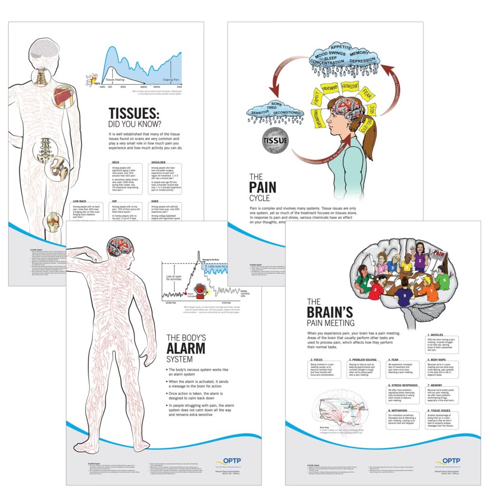 Neurociencia y Dolor Crónico: PNE y Más | iNeurociencias