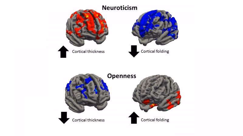 How does biology impact their personality traits?