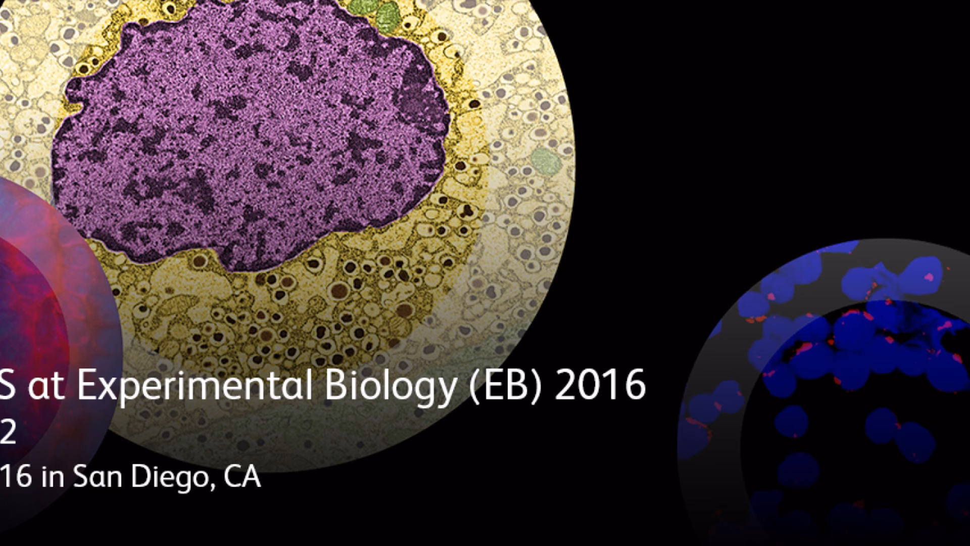 How prestigious is PLOS ONE?