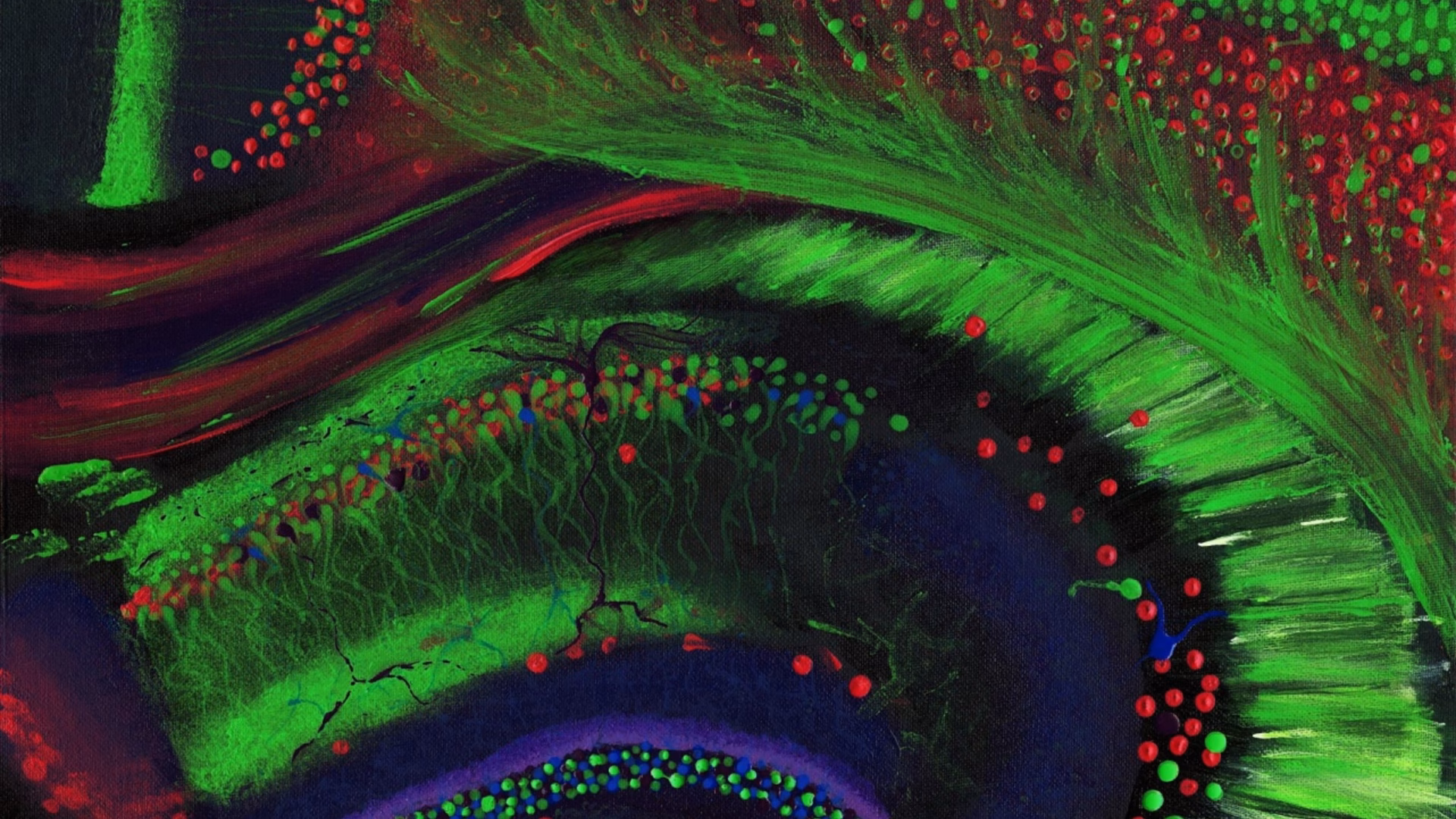 Is PLoS Medicine a reputable journal?