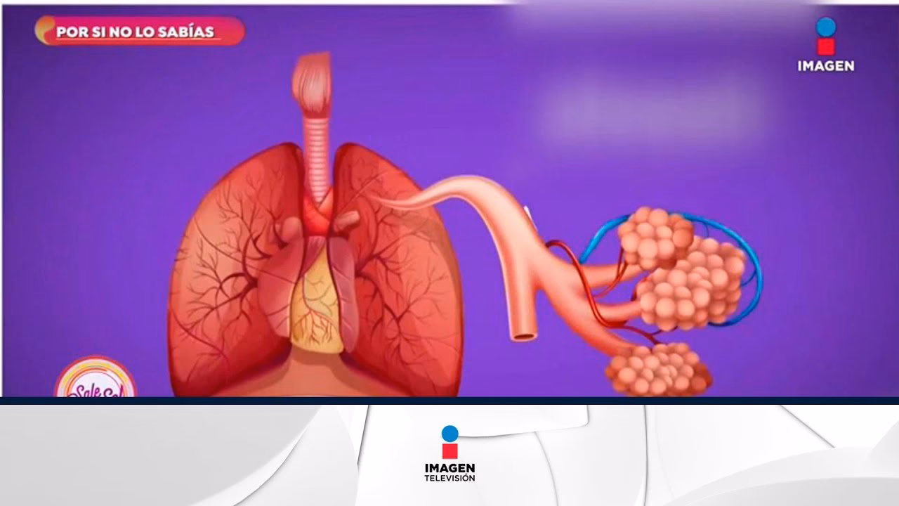 ¿Cuáles son las causas del suspiro?
