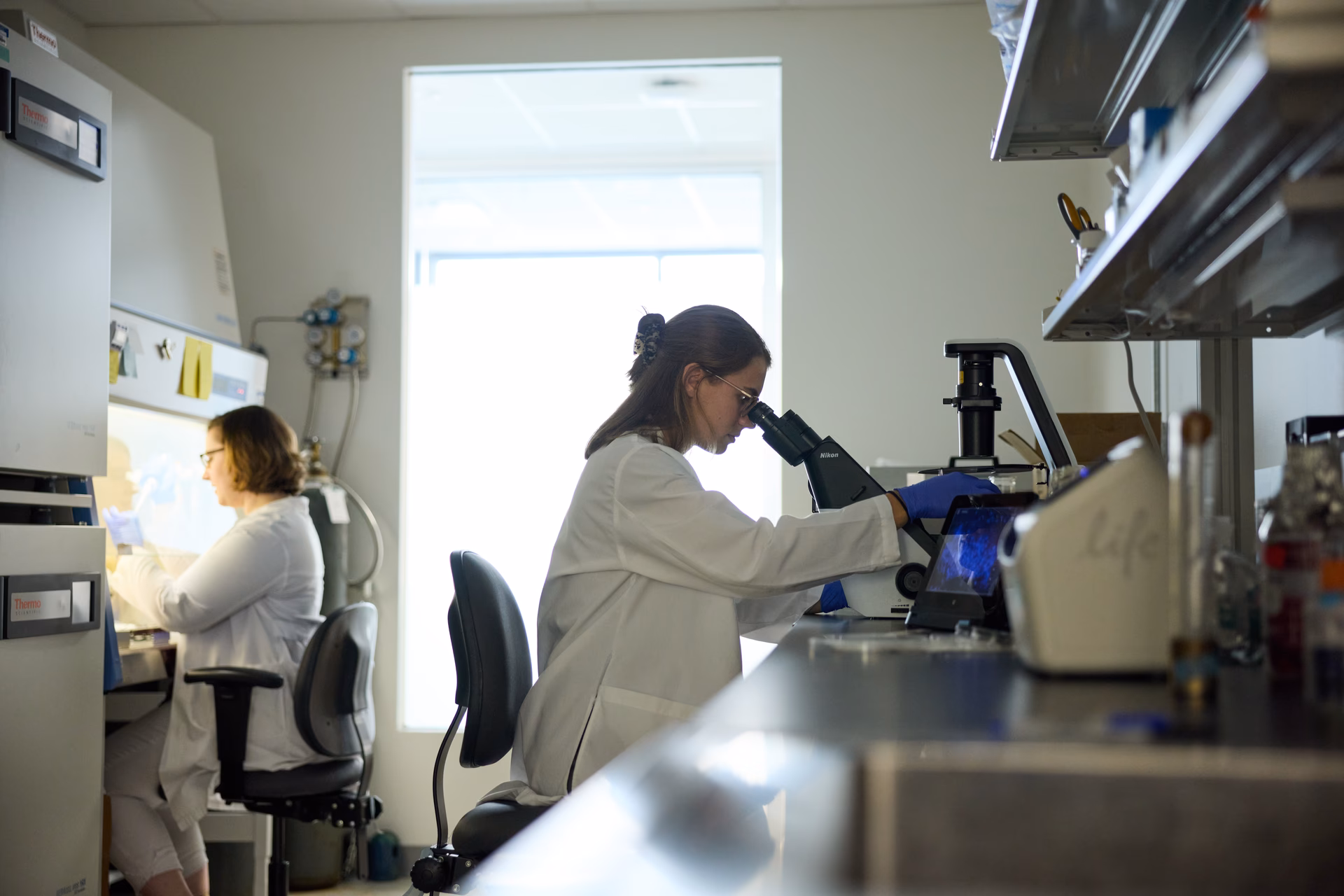 How many years is a postdoc after a PhD?