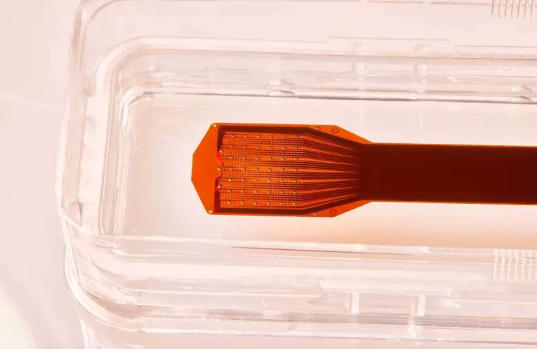 Who is the CEO of Precision Neuroscience?