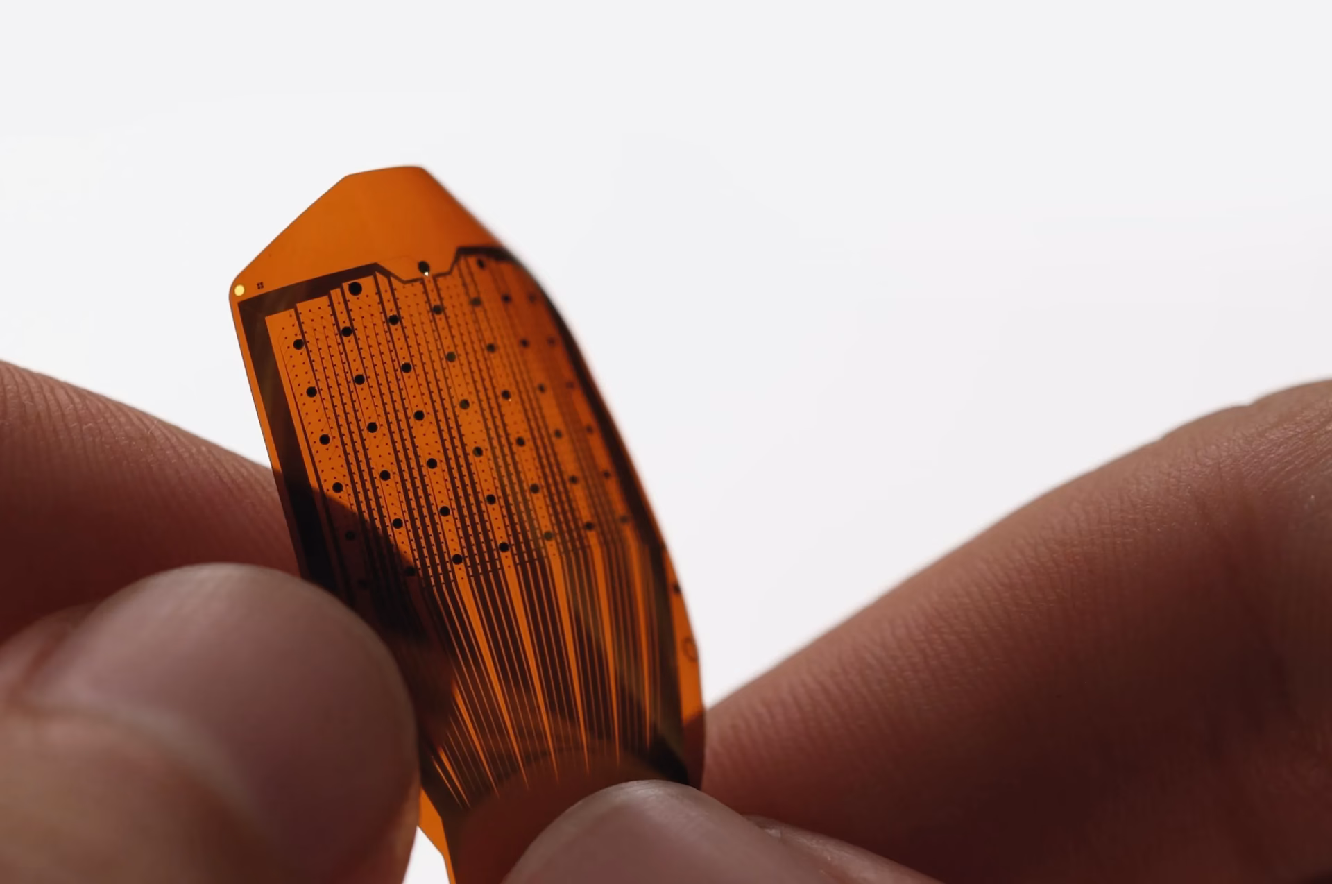 How much does Precision Neuroscience pay?