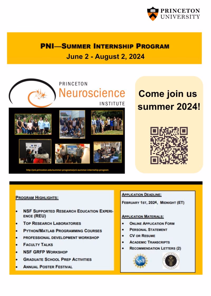 What are summer internships for NIHR?