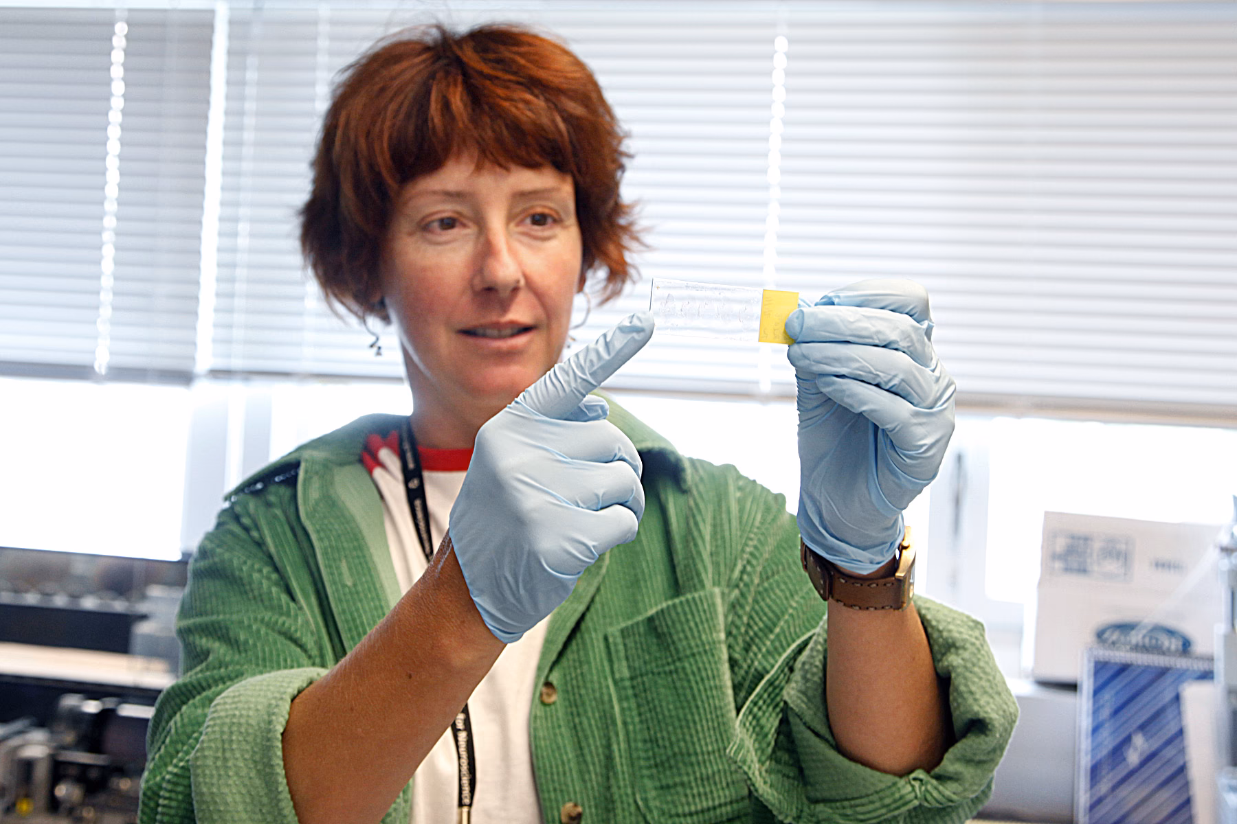 What do neuroscience professors do?