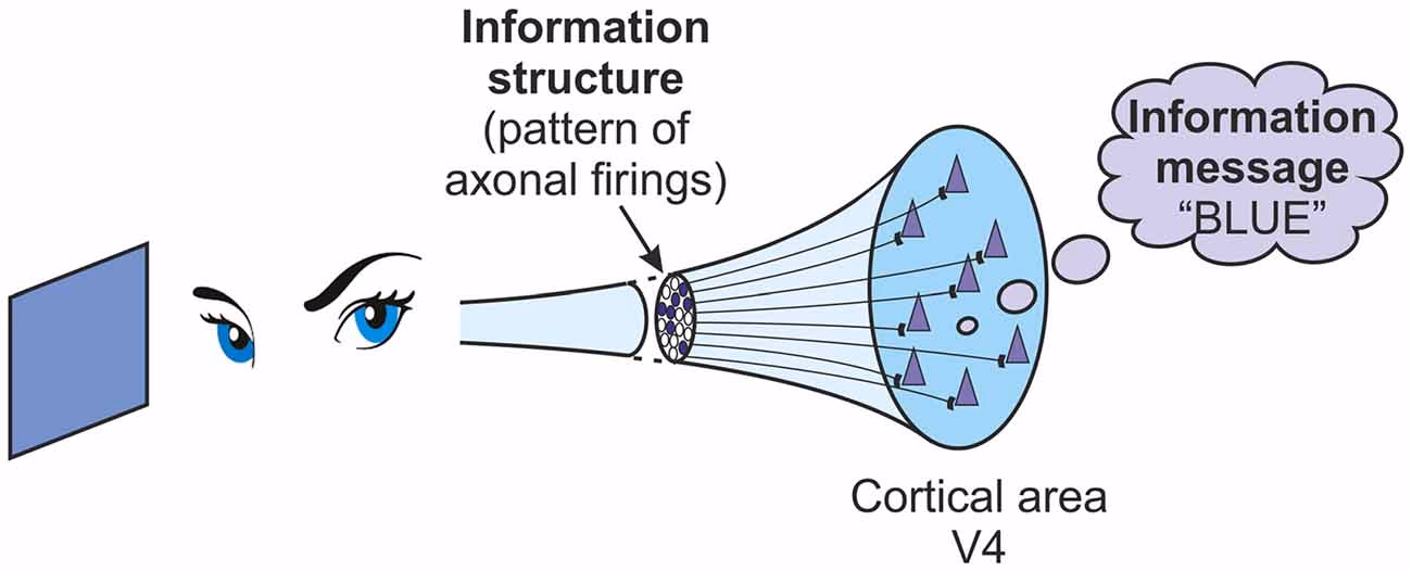 What is an example of a qualia?