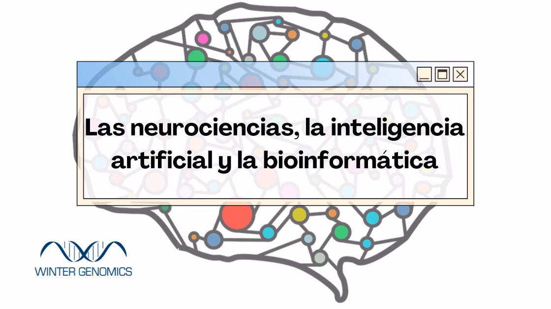 ¿Se utiliza la bioinformática en la neurociencia?