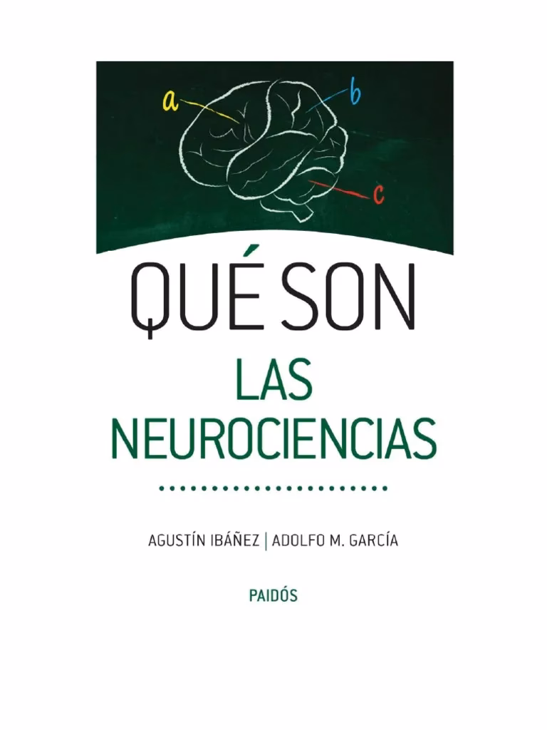 ¿Quién es Ana Ibáñez neurociencia?