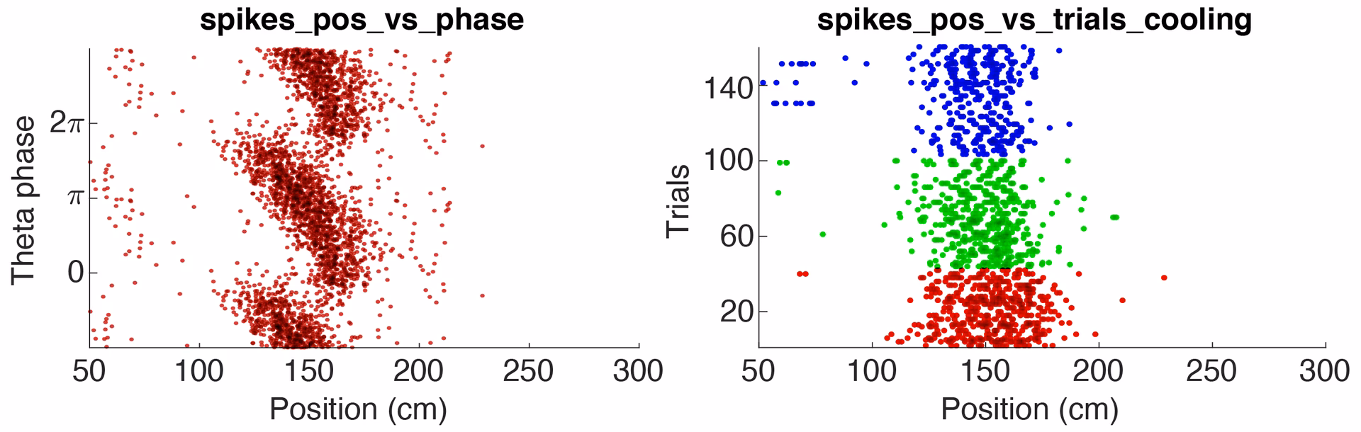 What is raster plot and PSTH?