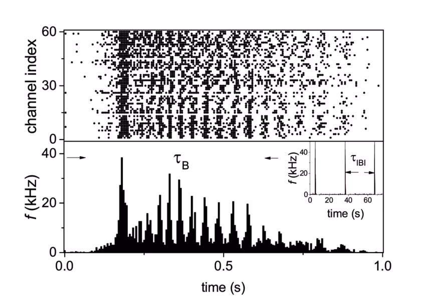 What does a raster plot show?