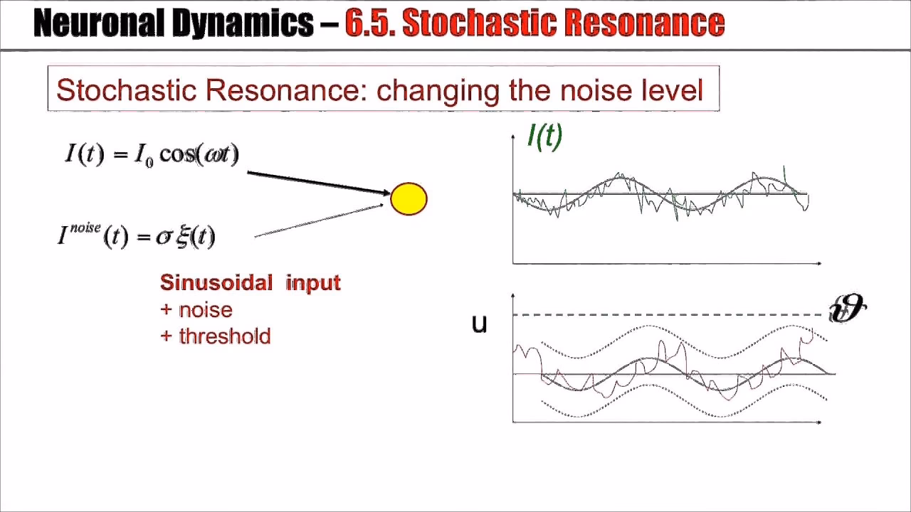 What is an example of rate coding?