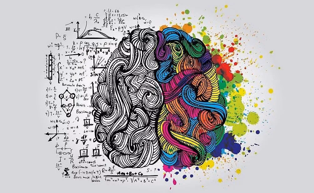 ¿Cómo afectan las conexiones sociales al cerebro?