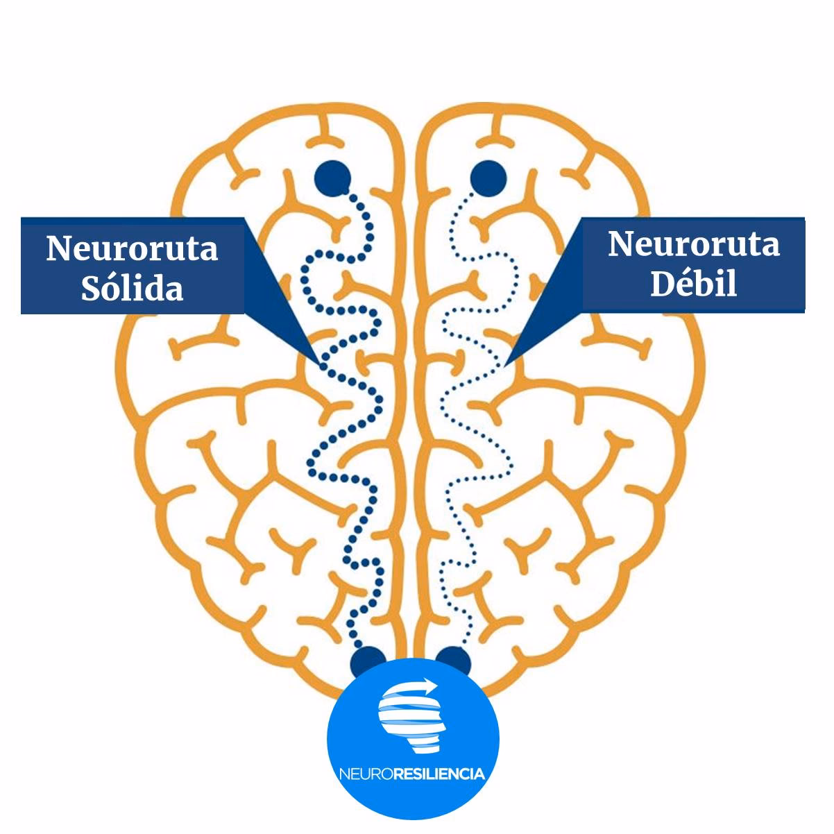 ¿Qué es la neurociencia detrás de la resiliencia?