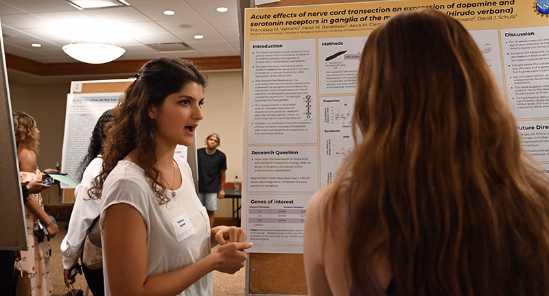 How hard is it to get into a REU program?