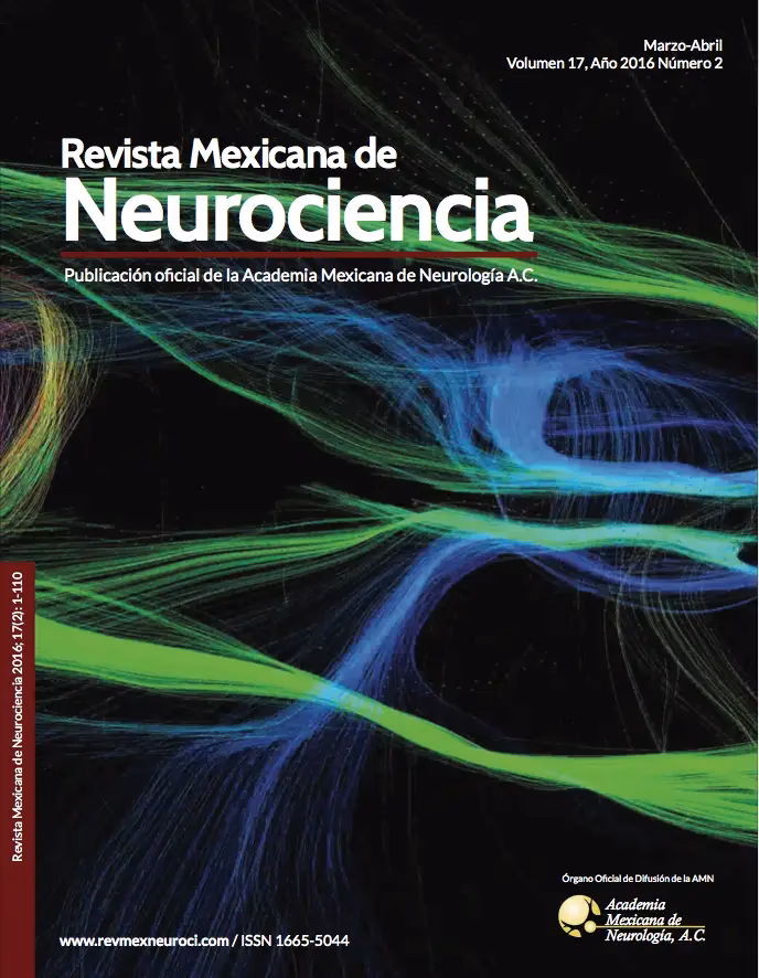 ¿Qué es neurociencia en el Scielo?