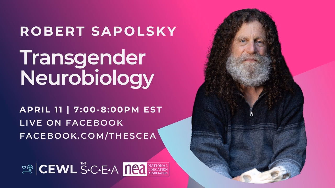 What is the theory of Sapolsky?