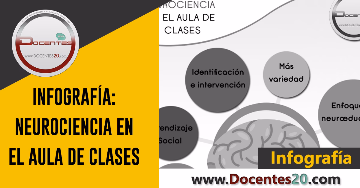 ¿Qué hacen los profesores de neurociencia?